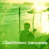 The Castell Brothers - Instrumentals